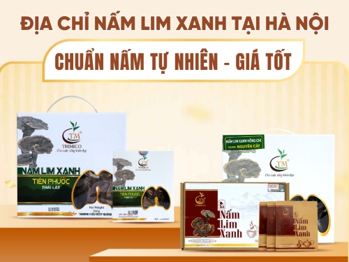 Địa chỉ bán nấm Lim Xanh Hà Nội: Chuẩn nấm rừng tự nhiên 100% - Giá hợp lý - Giao tận nơi